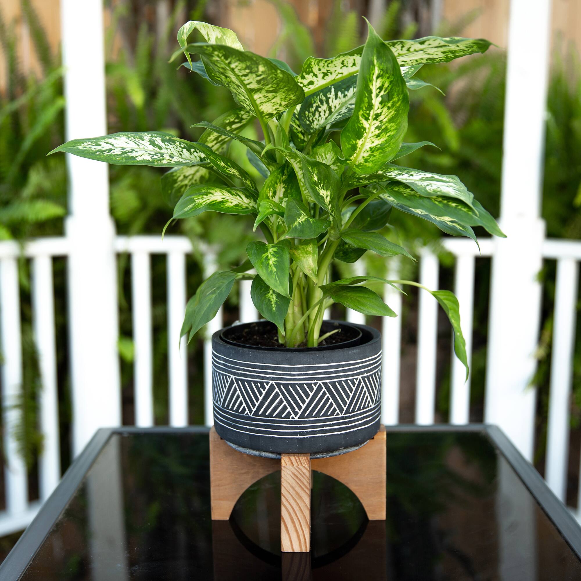Flora Bunda 7" Mountain Cement Planter With Wood Stand